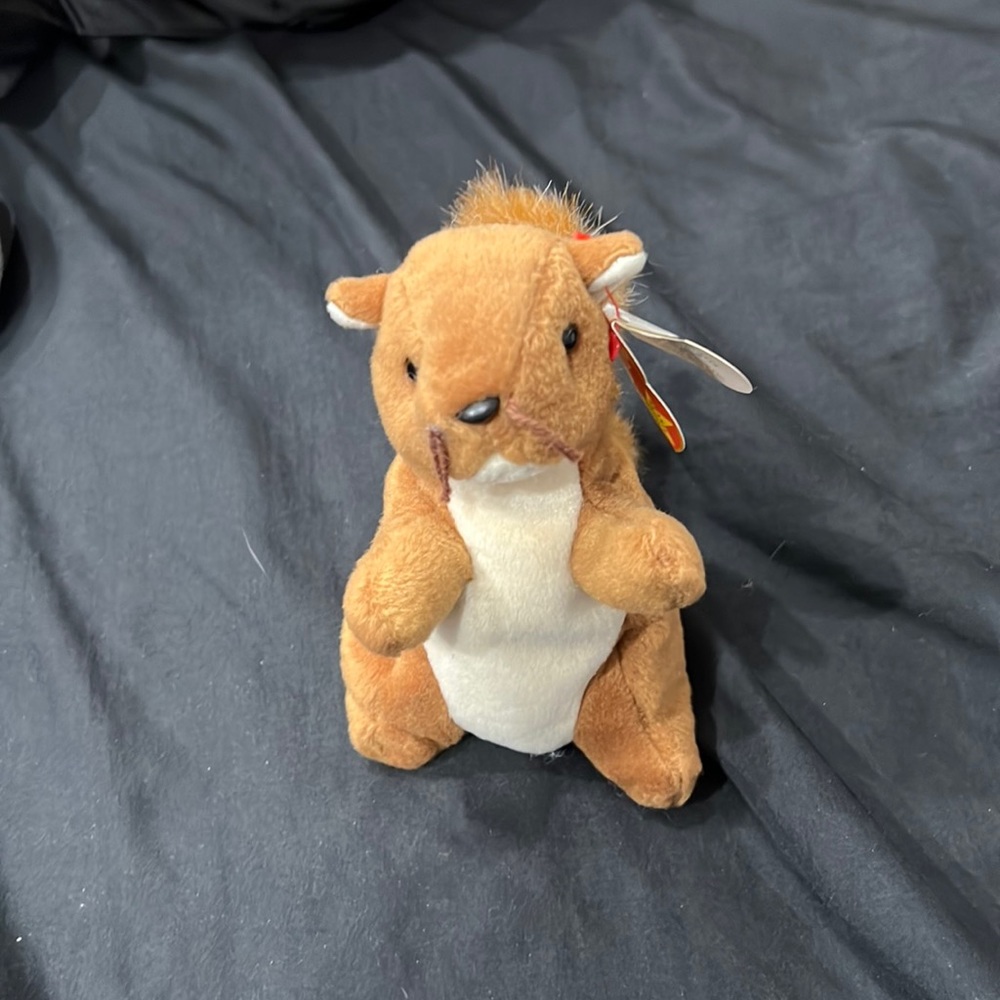Nuts beanie baby